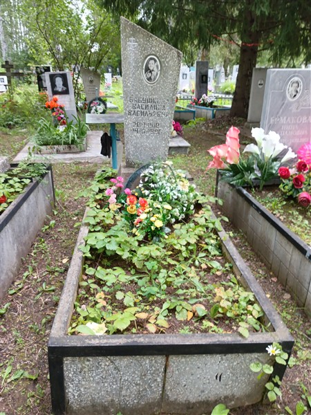 Бабушкина Василиса Васильевна