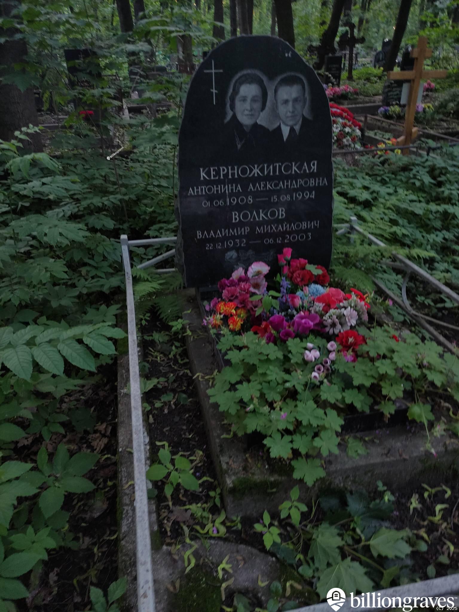 Волков Владимир Михайлович