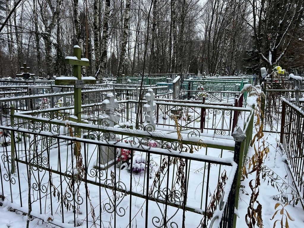 Деулин Алексей Николаевич