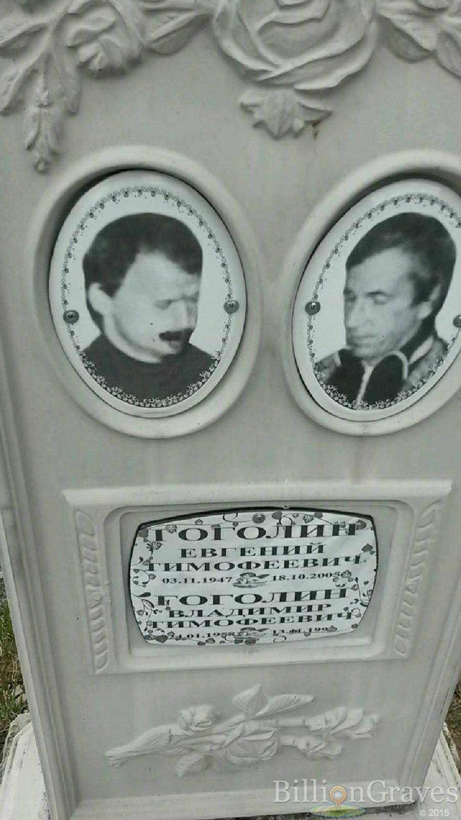гоголин владимир тимофеевич