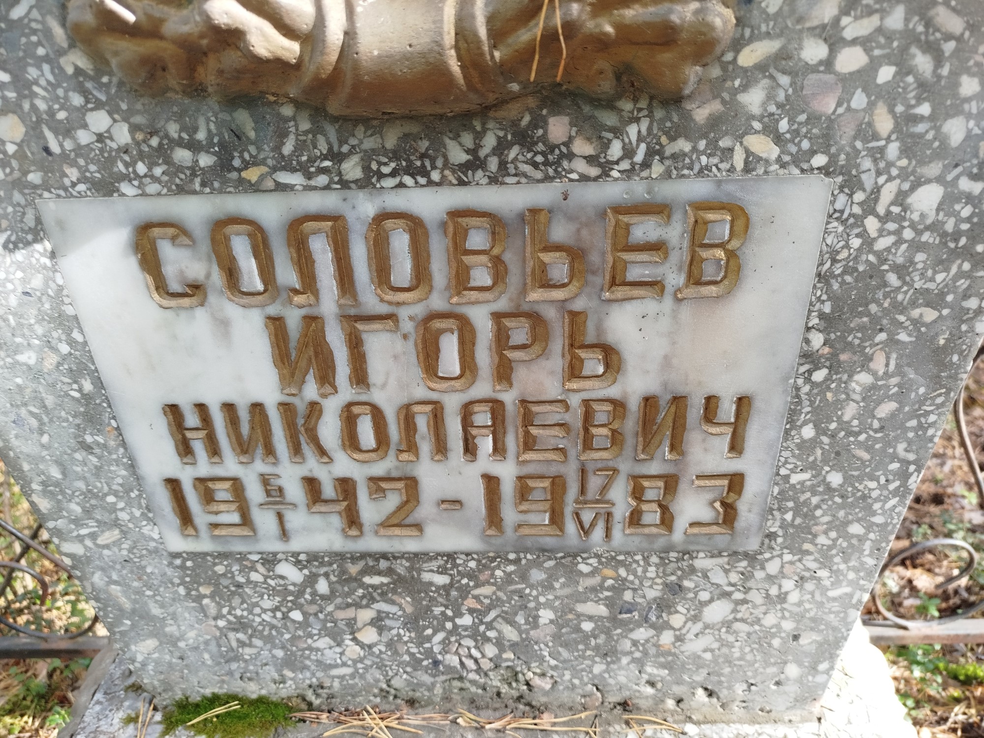 Соловьев Игорь Николаевич
