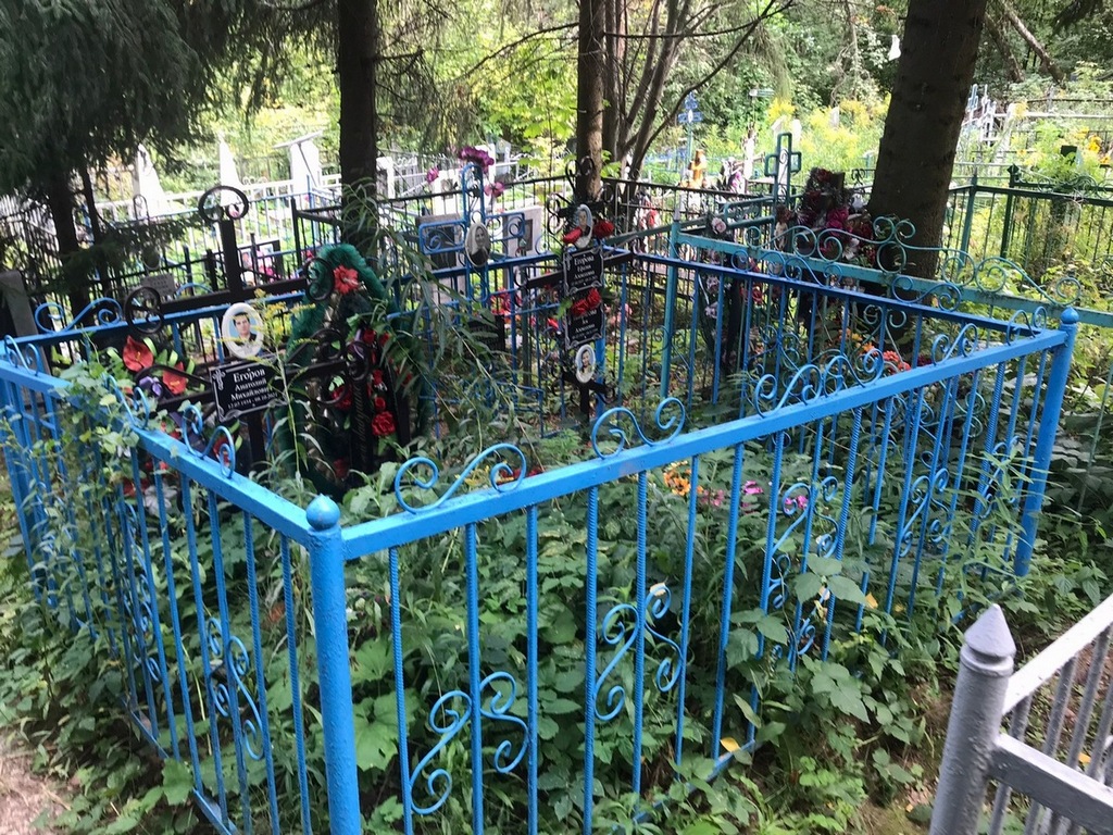 Егоров Анатолий Михайлович