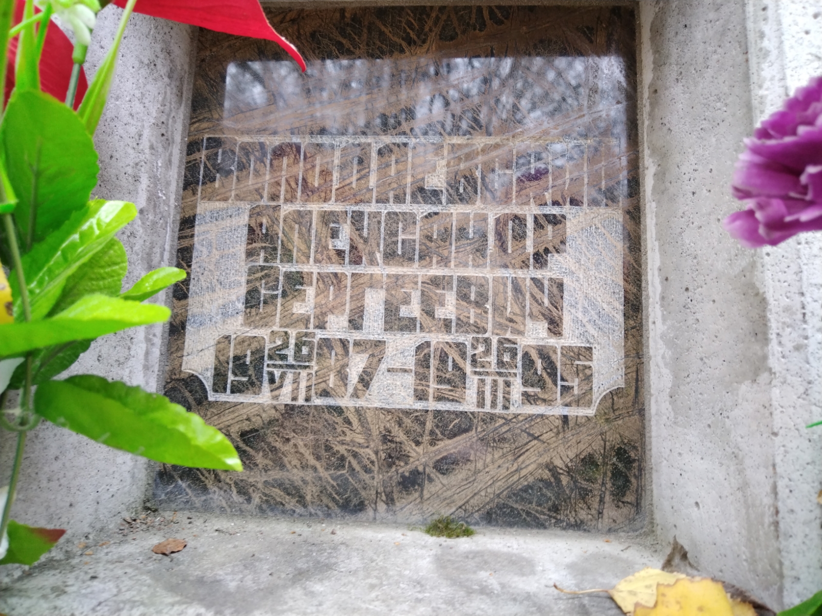 Володаевский Александр Сергеевич
