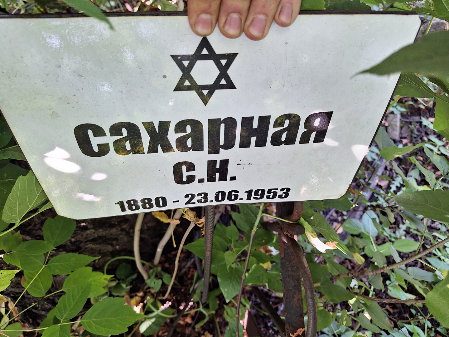 С Сахарная Н