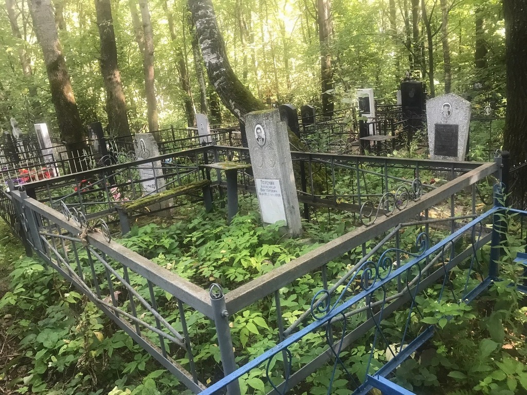 Воронин Александр Викторович