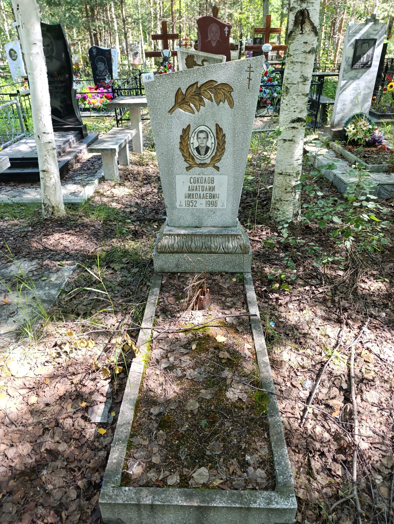 Соколов Анатолий Николаевич