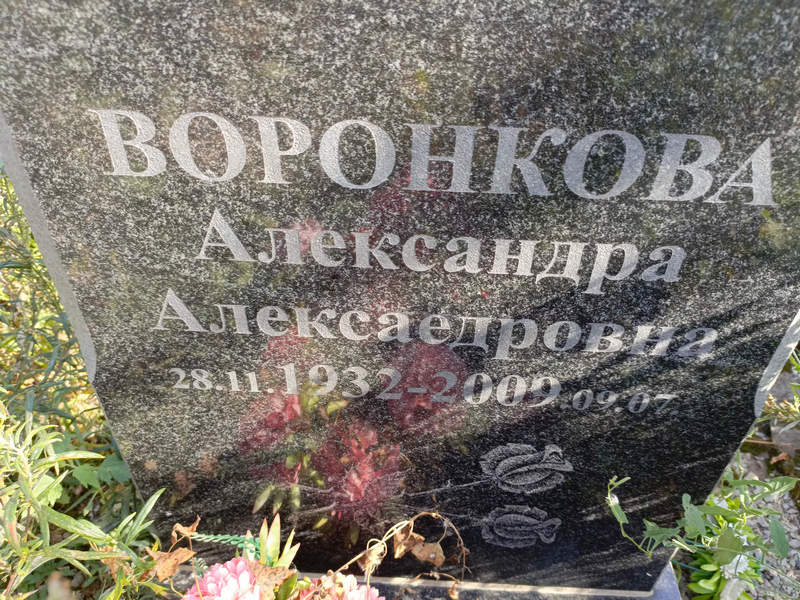 Воронкова Александра Алексаедровна