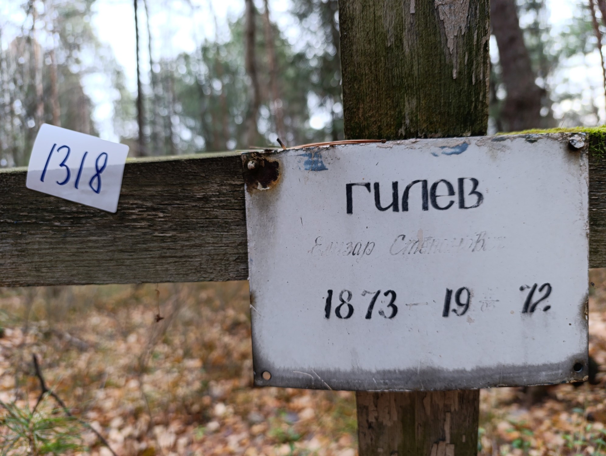 Гилев Елизар Степанович