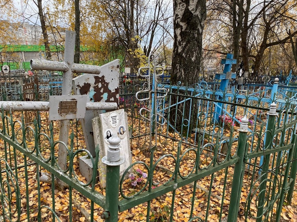 Ляпина Нина