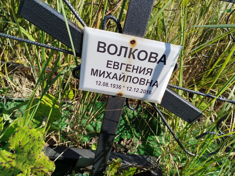 Волкова Евгения Михайловна