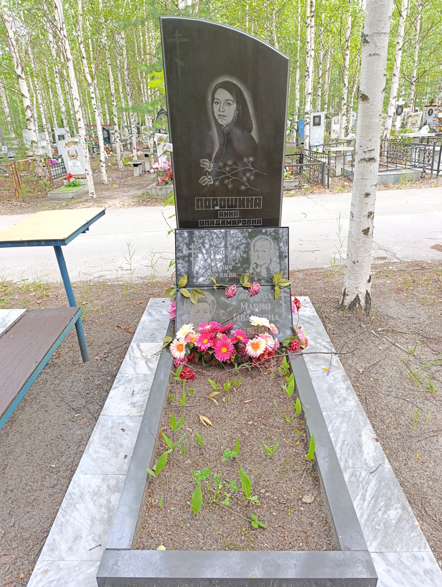 Порошина Анна Владимировна