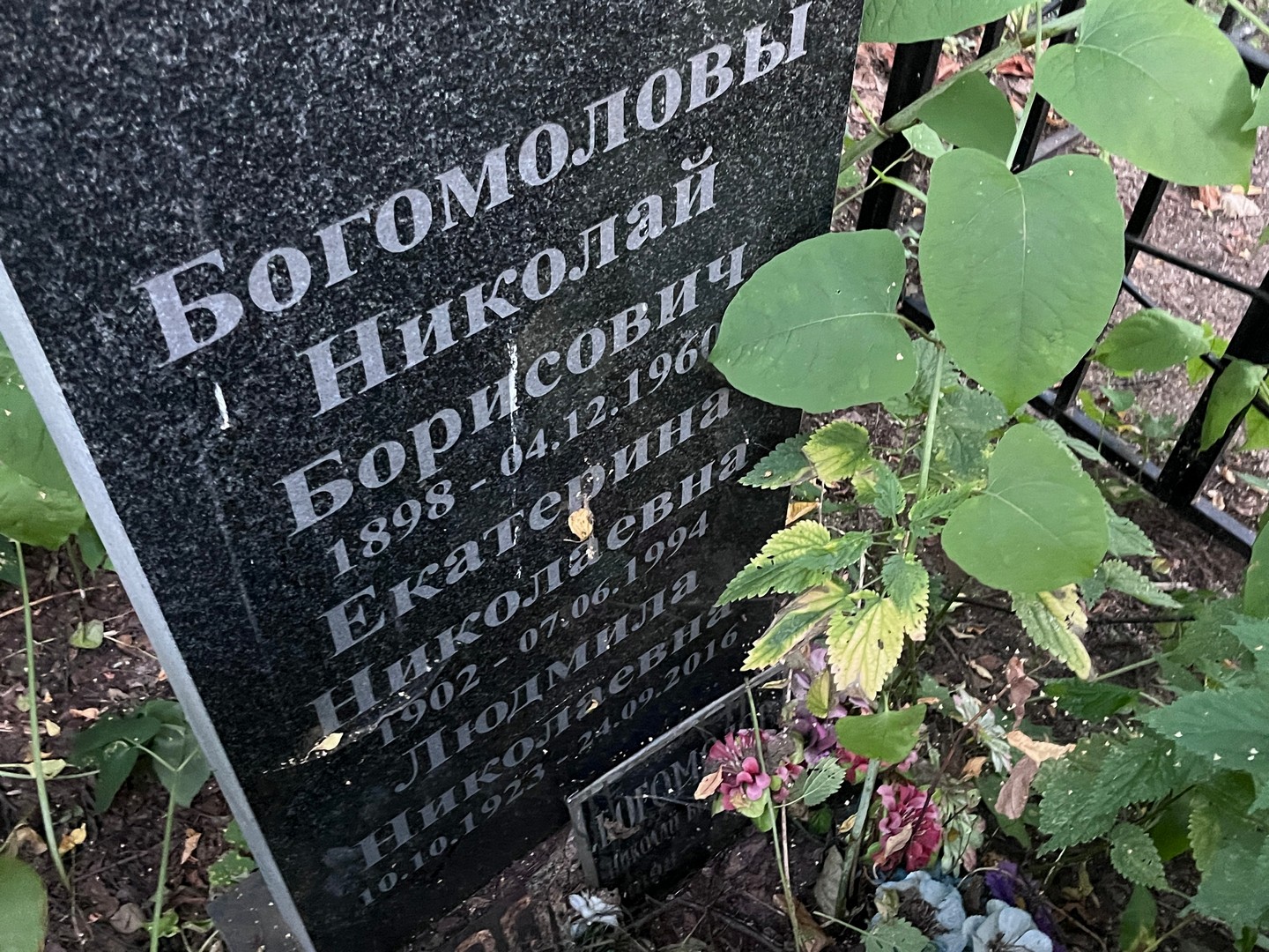 Богомолов