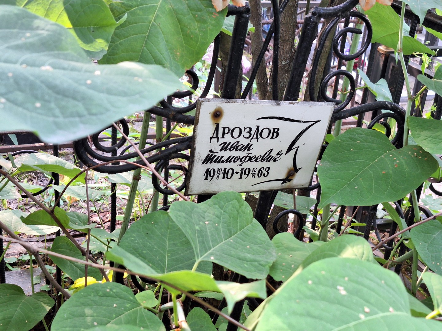 Дроздов