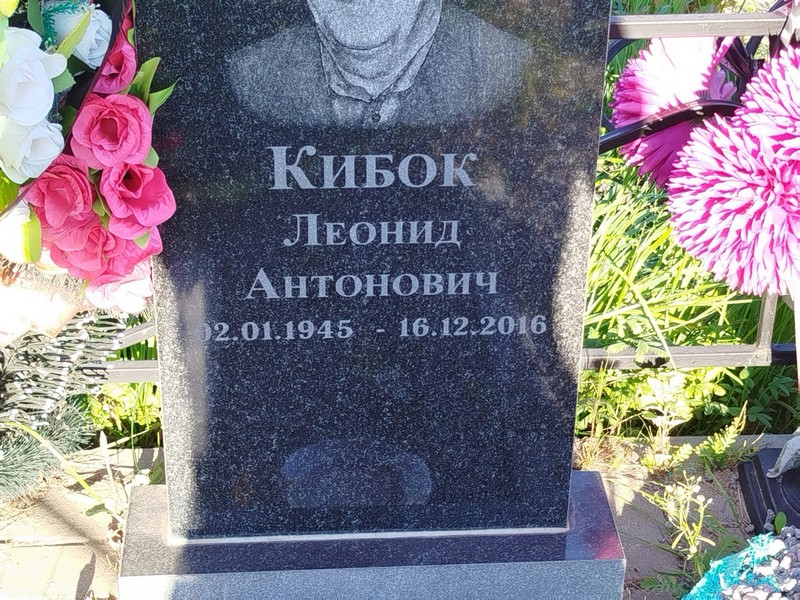 Кибок
