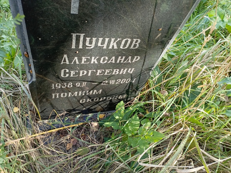 Пучков