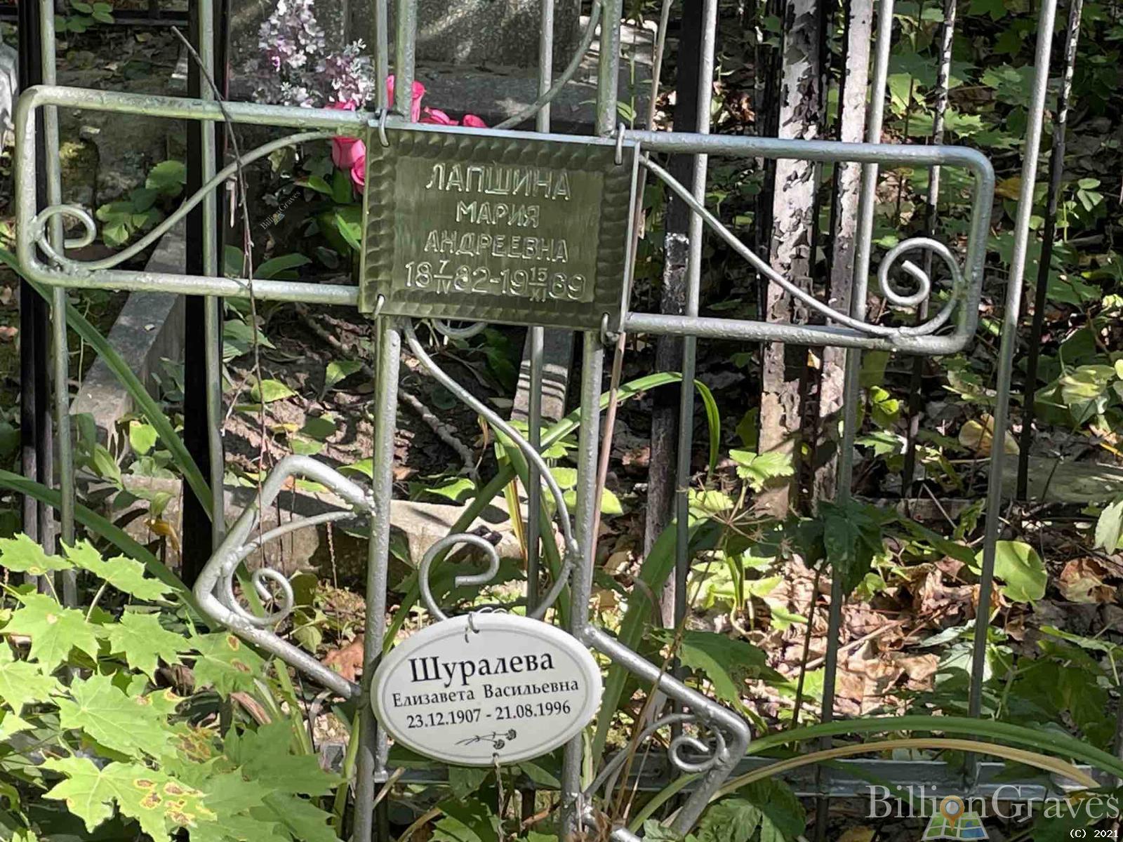 Лапшина Мария Андреевна