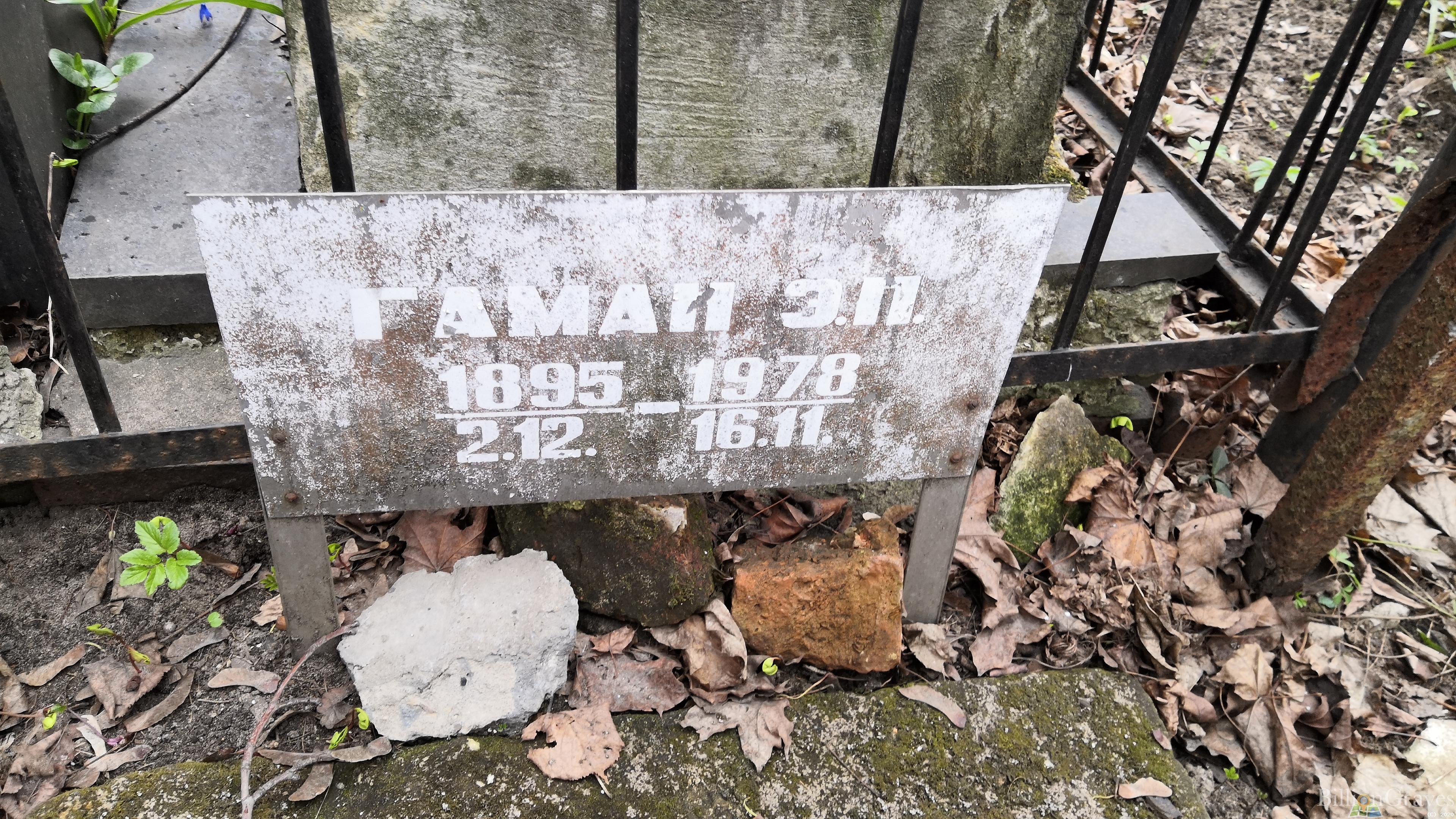 Гаман Э. Н.