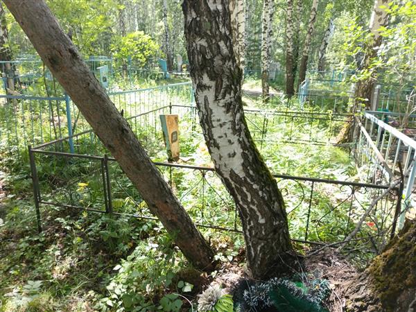 Качаков Аркадий Михайловна