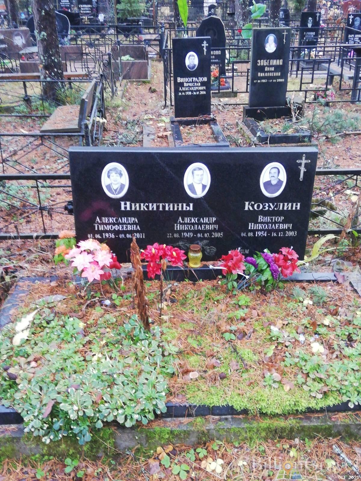 Козулин Виктор Николаевич