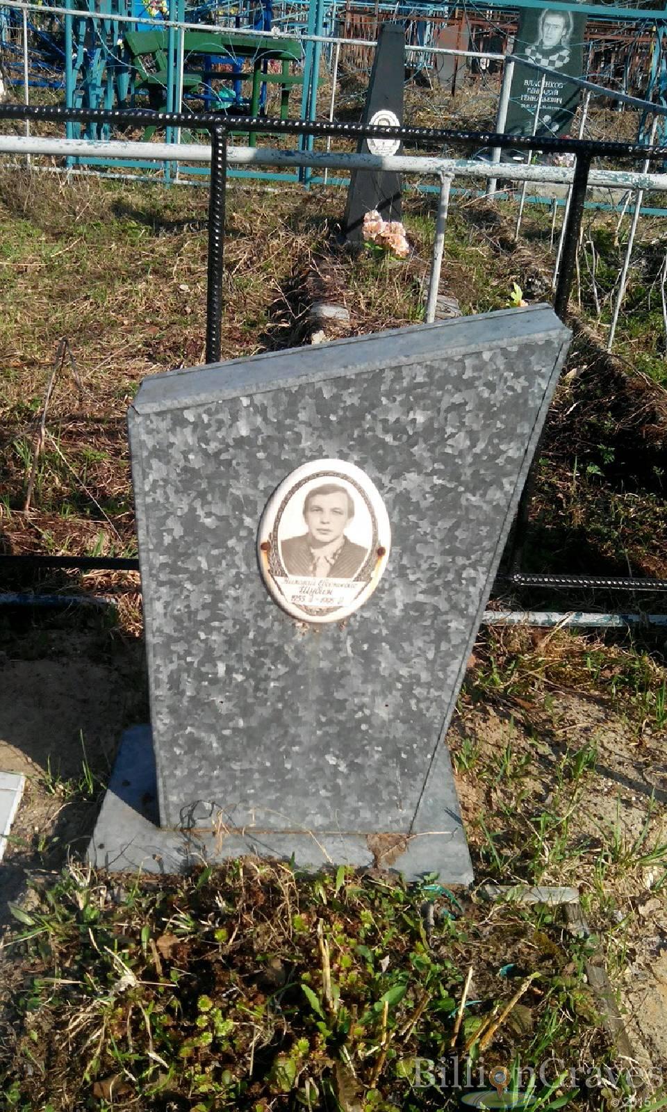 Шубин Николай Евгеньевич