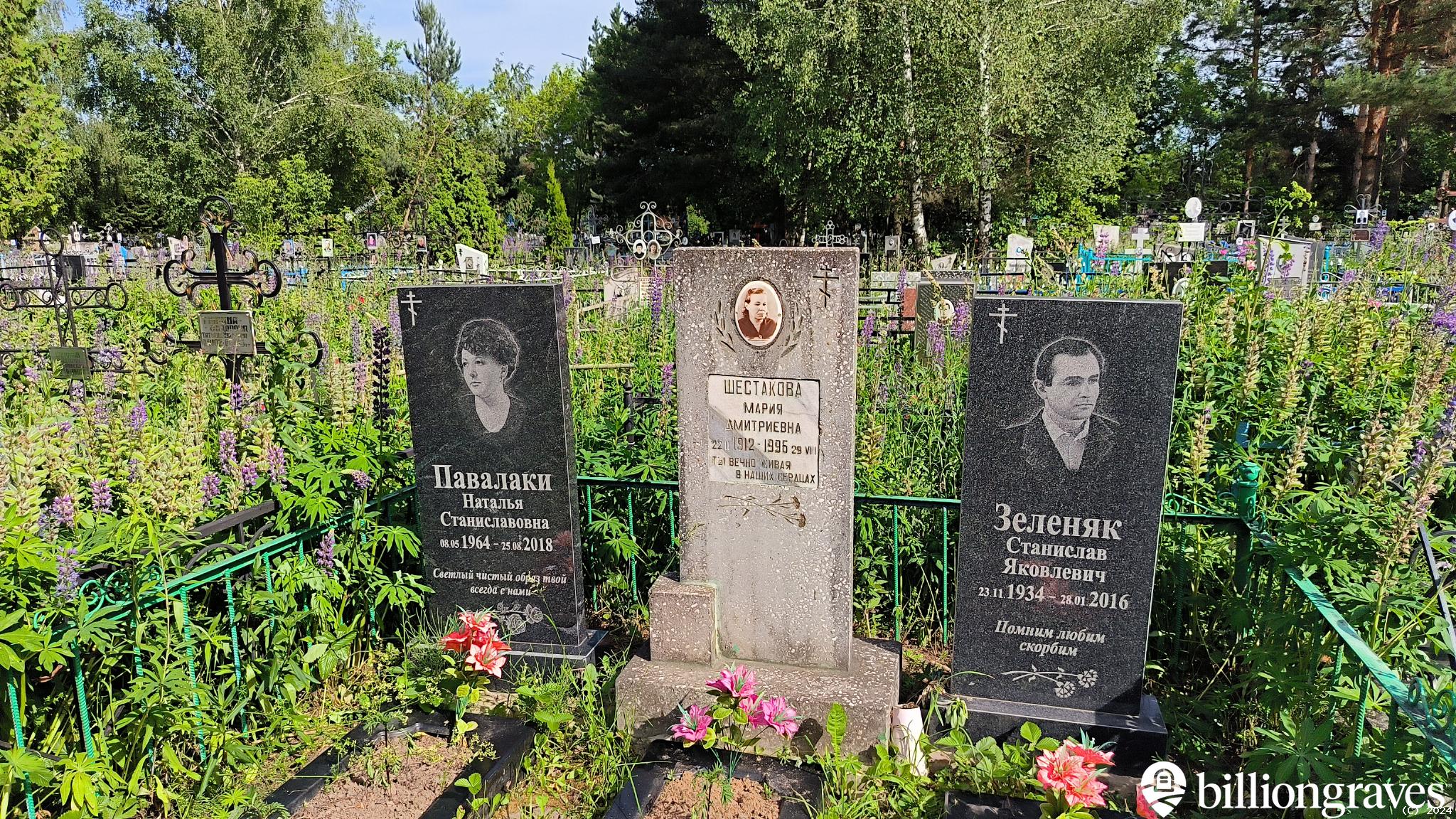 Павалаки Наталья Станиславовна