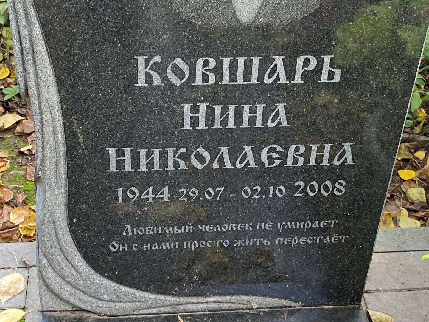 Ковшарь