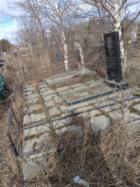 Стриевич Николай Иванович