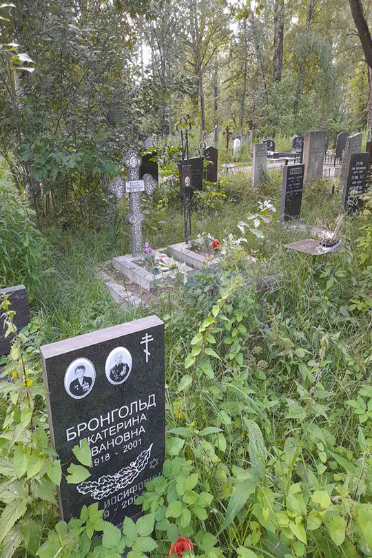 Алексеев Александр Ильич