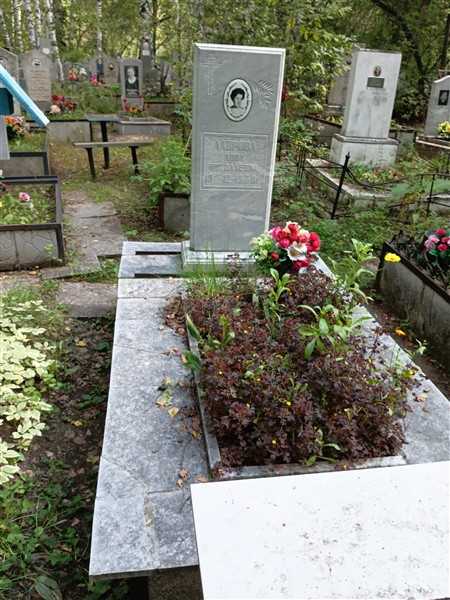 Лаврова Анна Николаевна