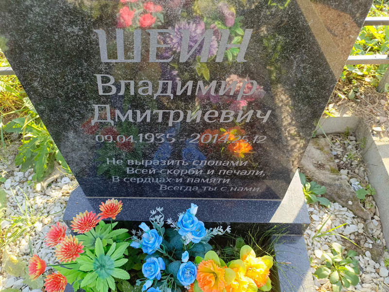Шеин