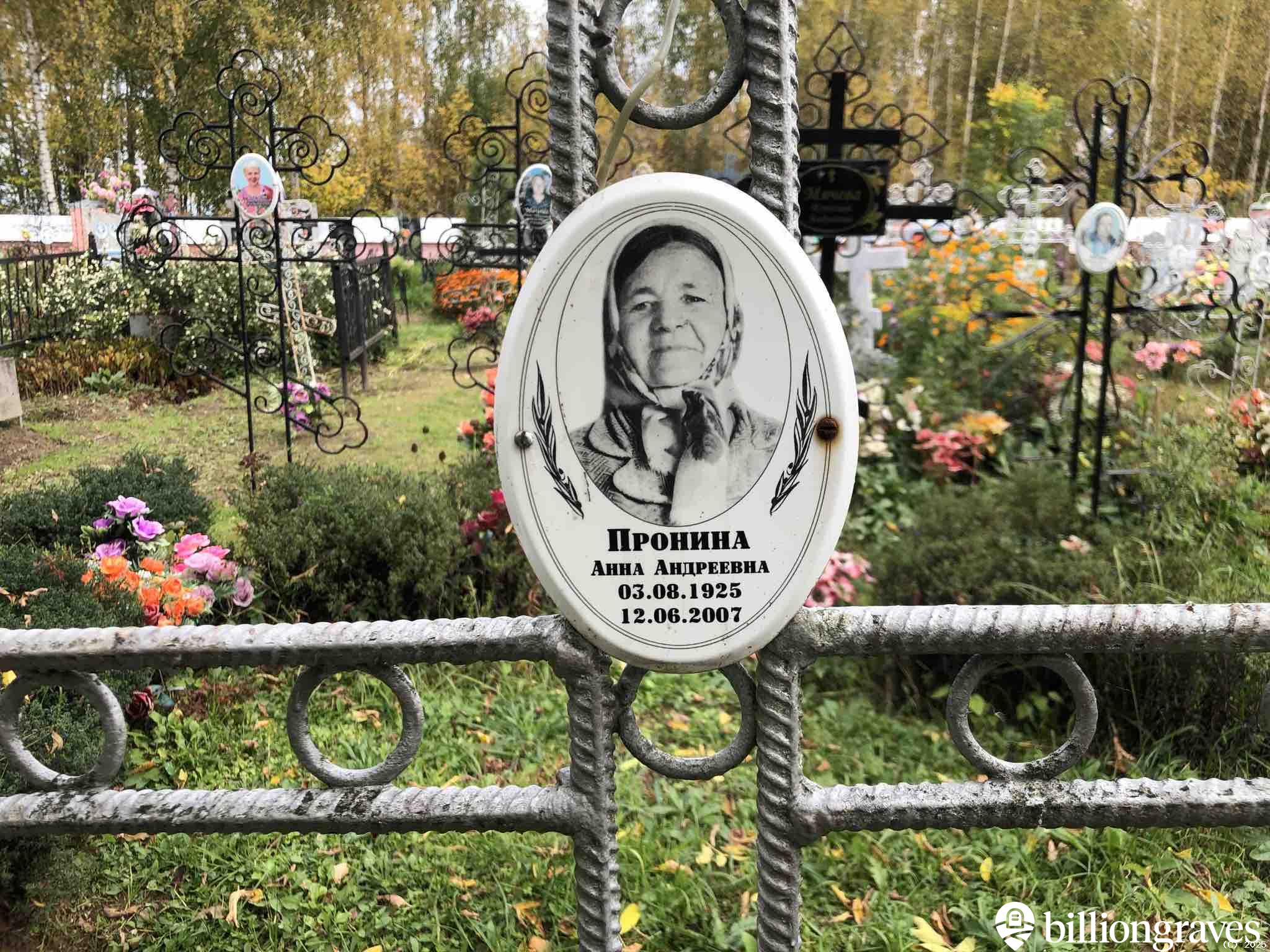 Пронина Анна Андреевна