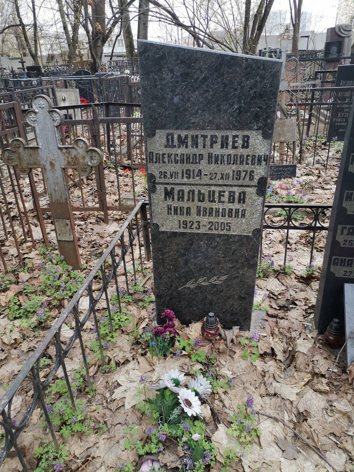 Дмитриев Александр Николаевич