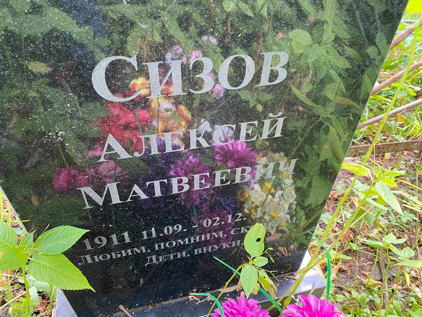 Сизов