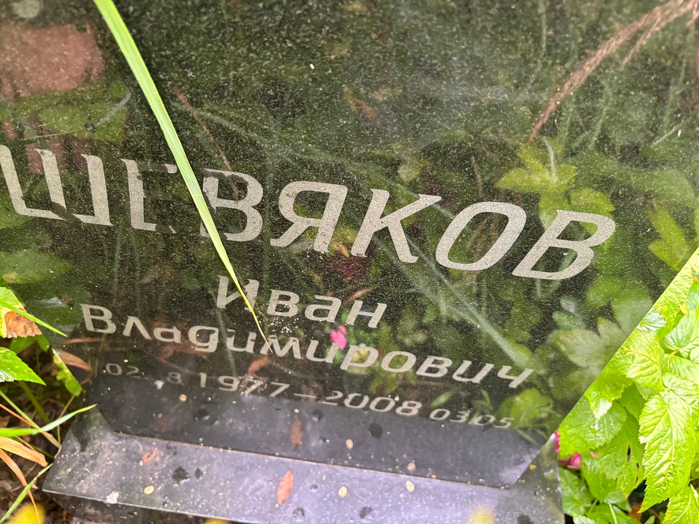 Шевяков