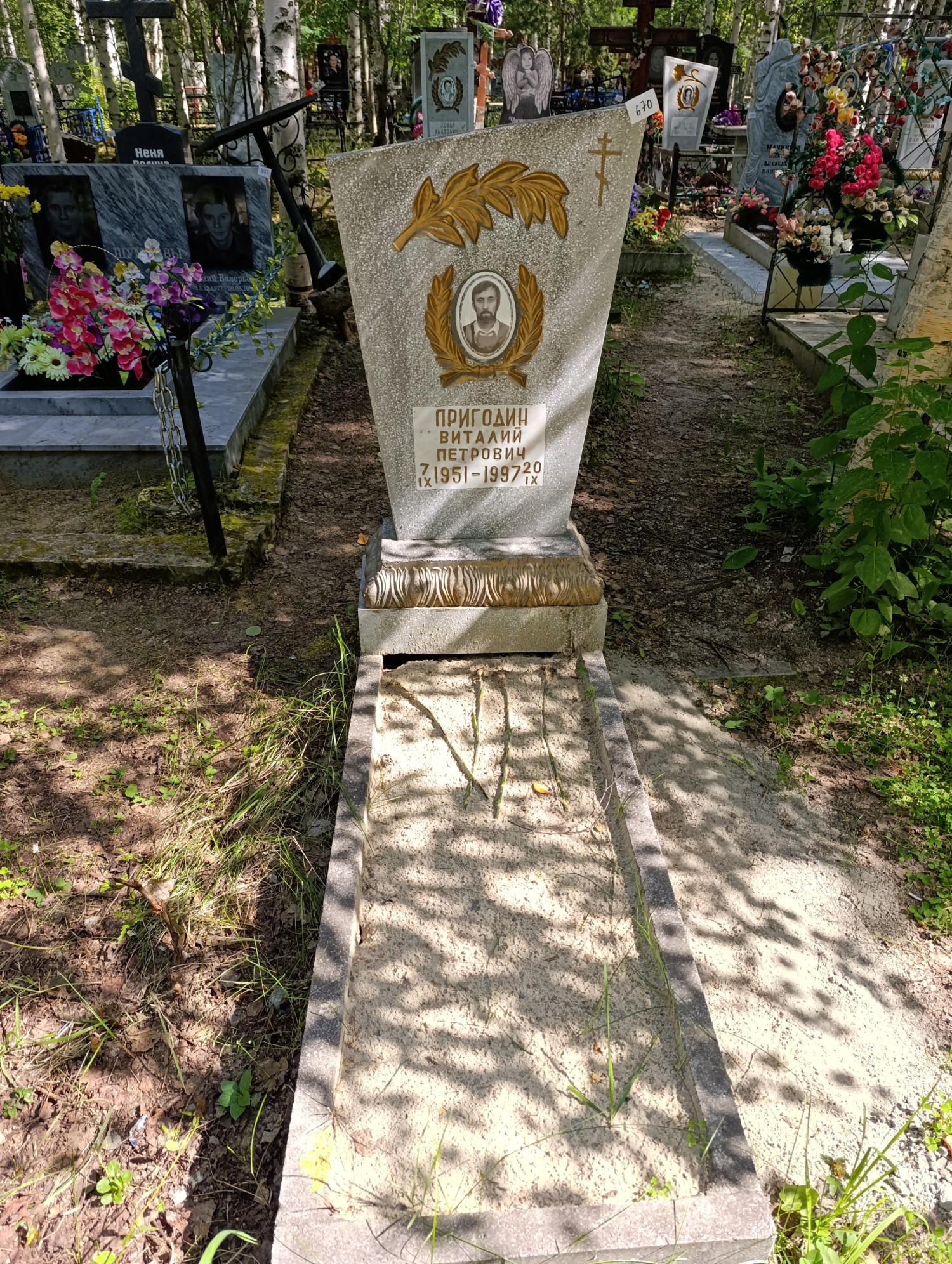 Пригодин Виталий Петрович
