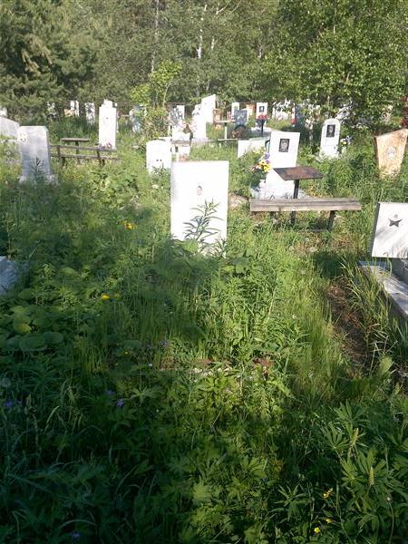 Лаптев Владимир Иванович