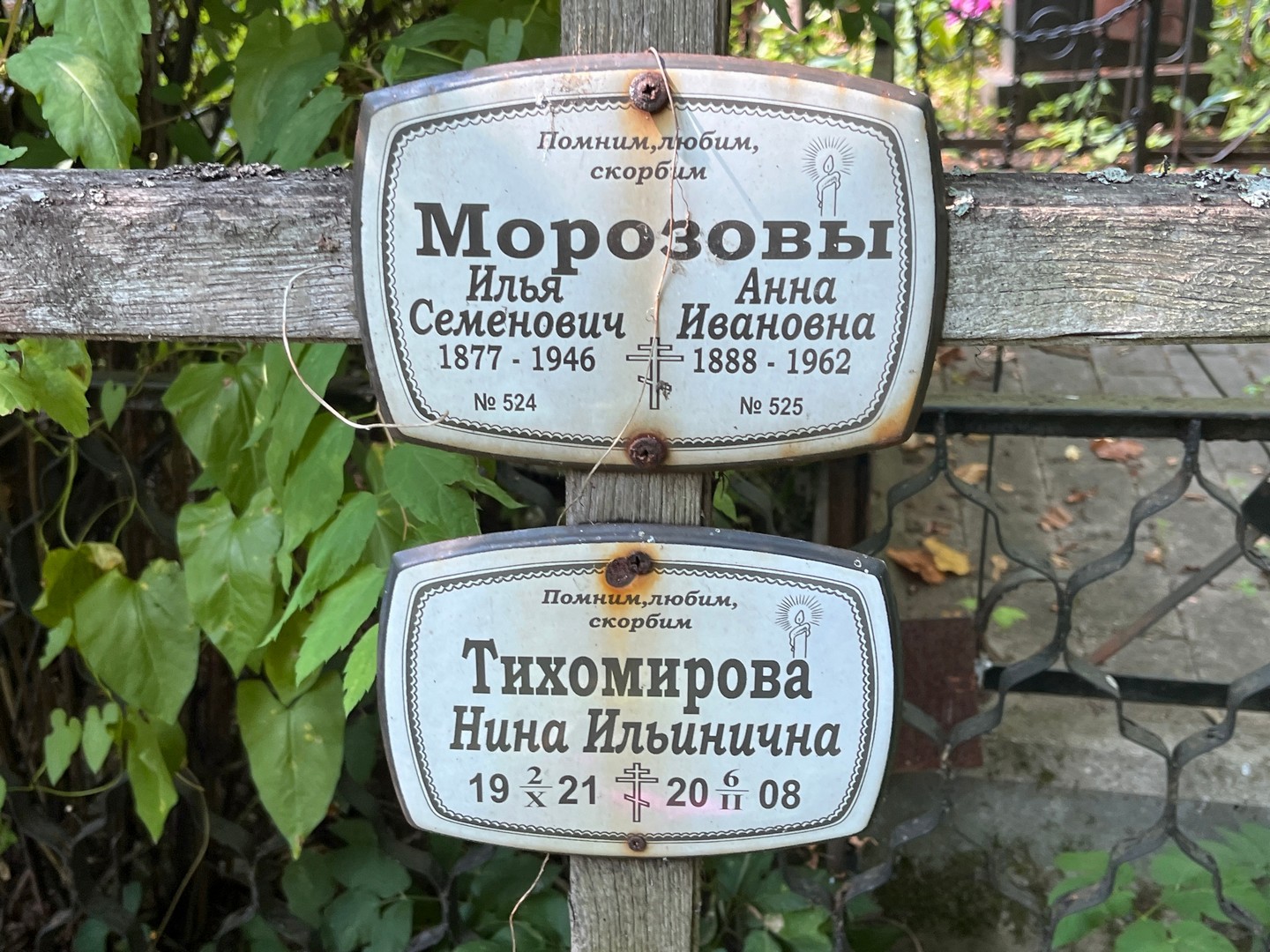 Морозов