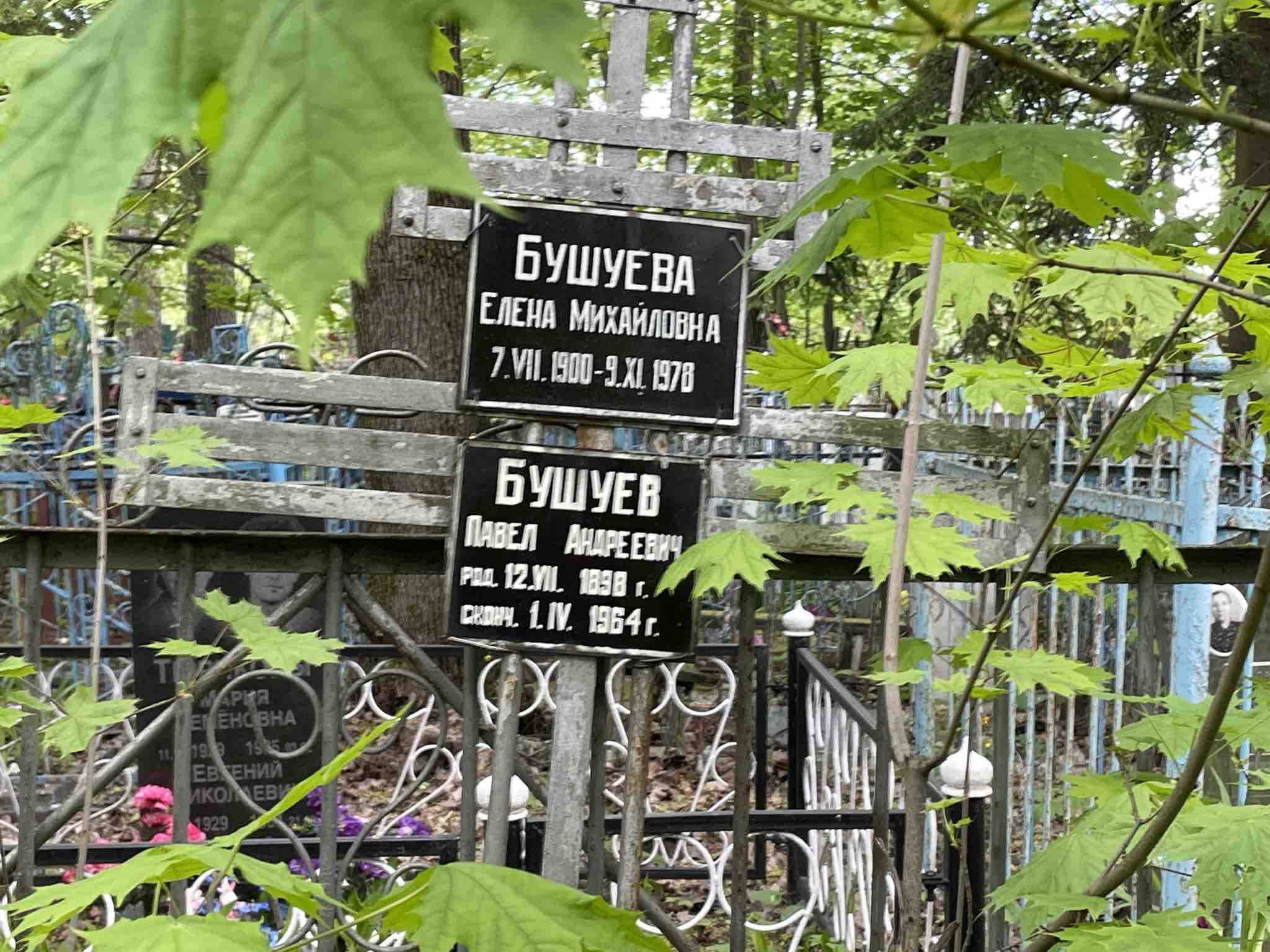 Бушуева Елена Михайловна