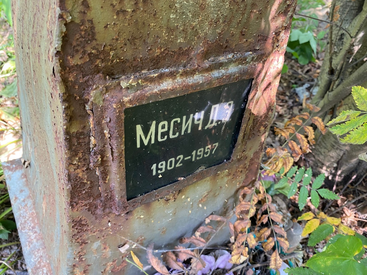 Д Месич Э