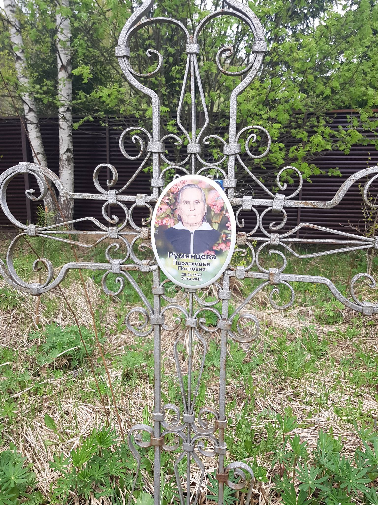 Румянцева Парасковья Петровна