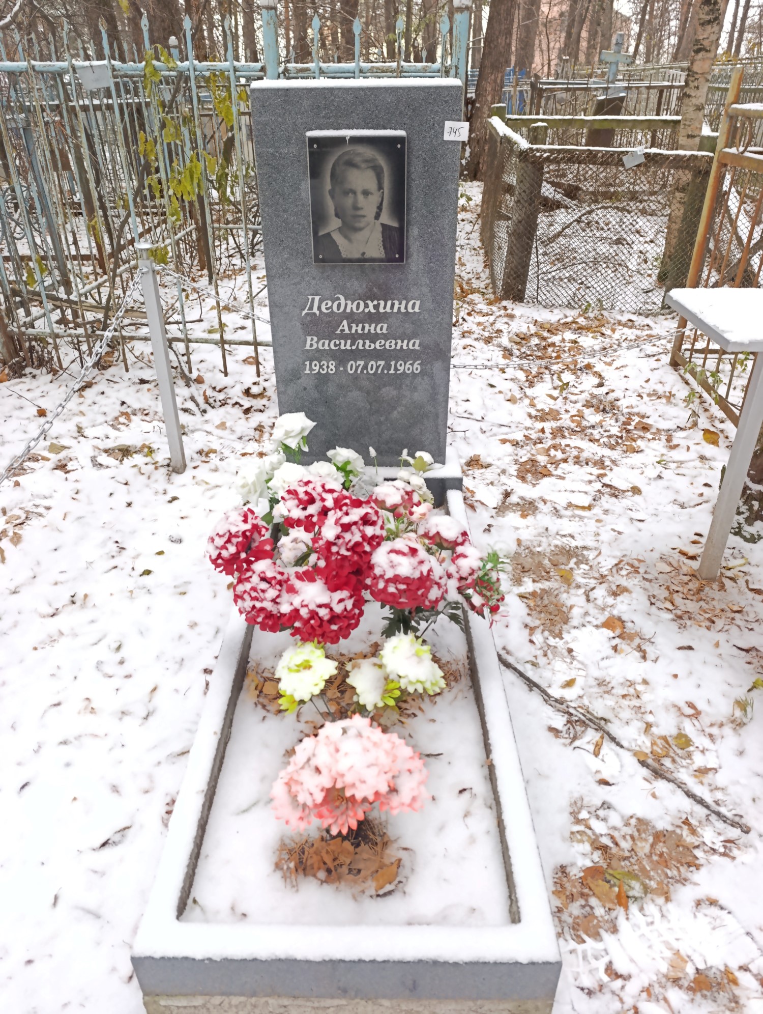 Дедюхина Анна Васильевна
