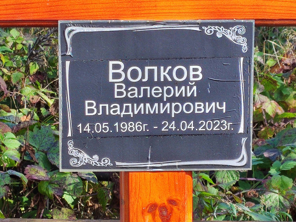 Волков Валерий Владимирович