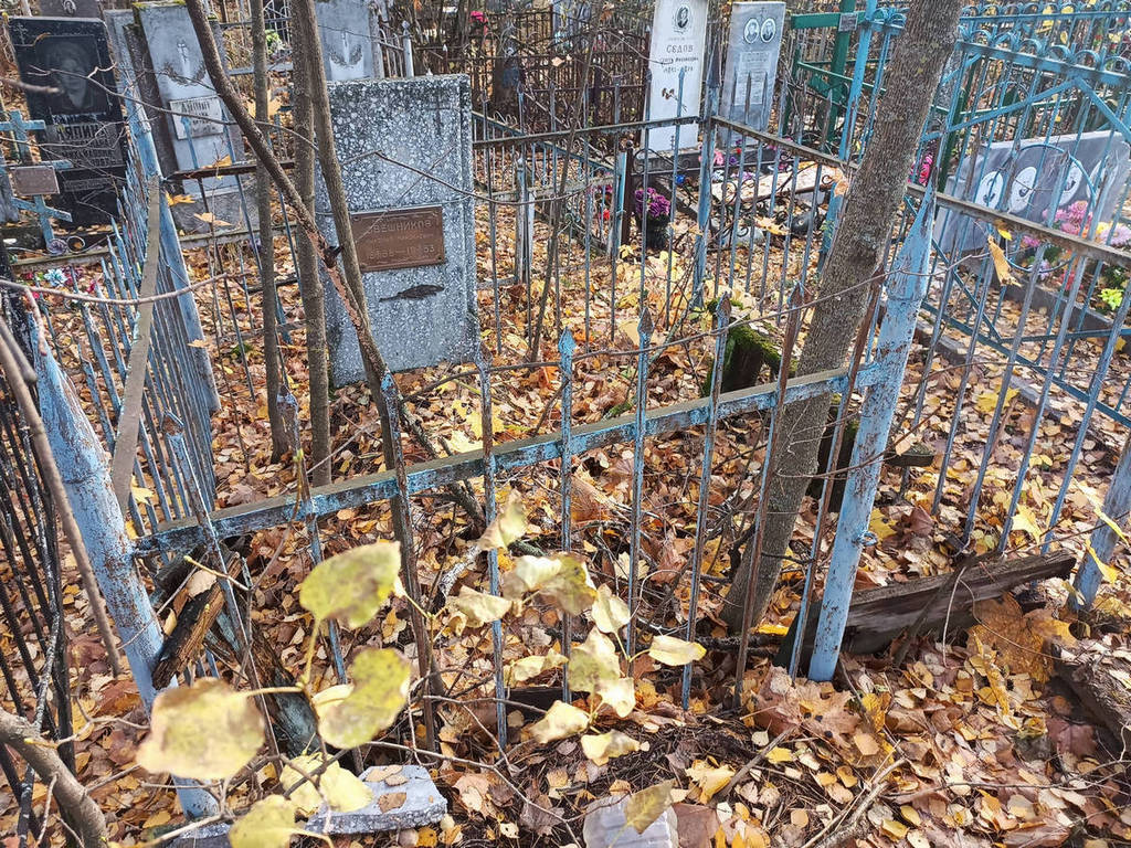 Свешников Николай Николаевич