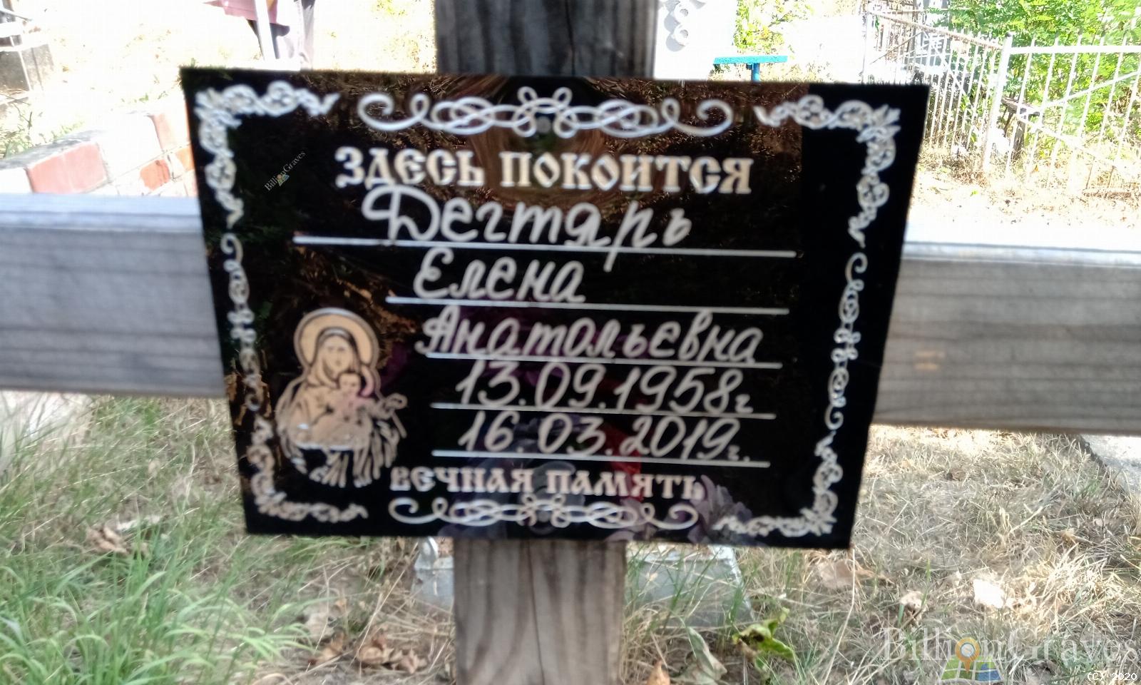 Дегтярь Елена Антольевна