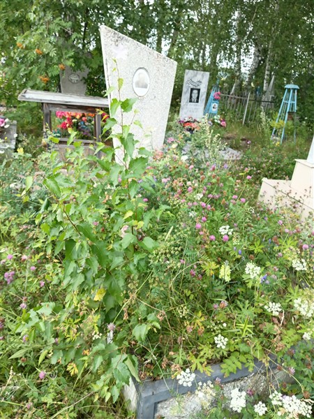 Катаев Данил Егорович