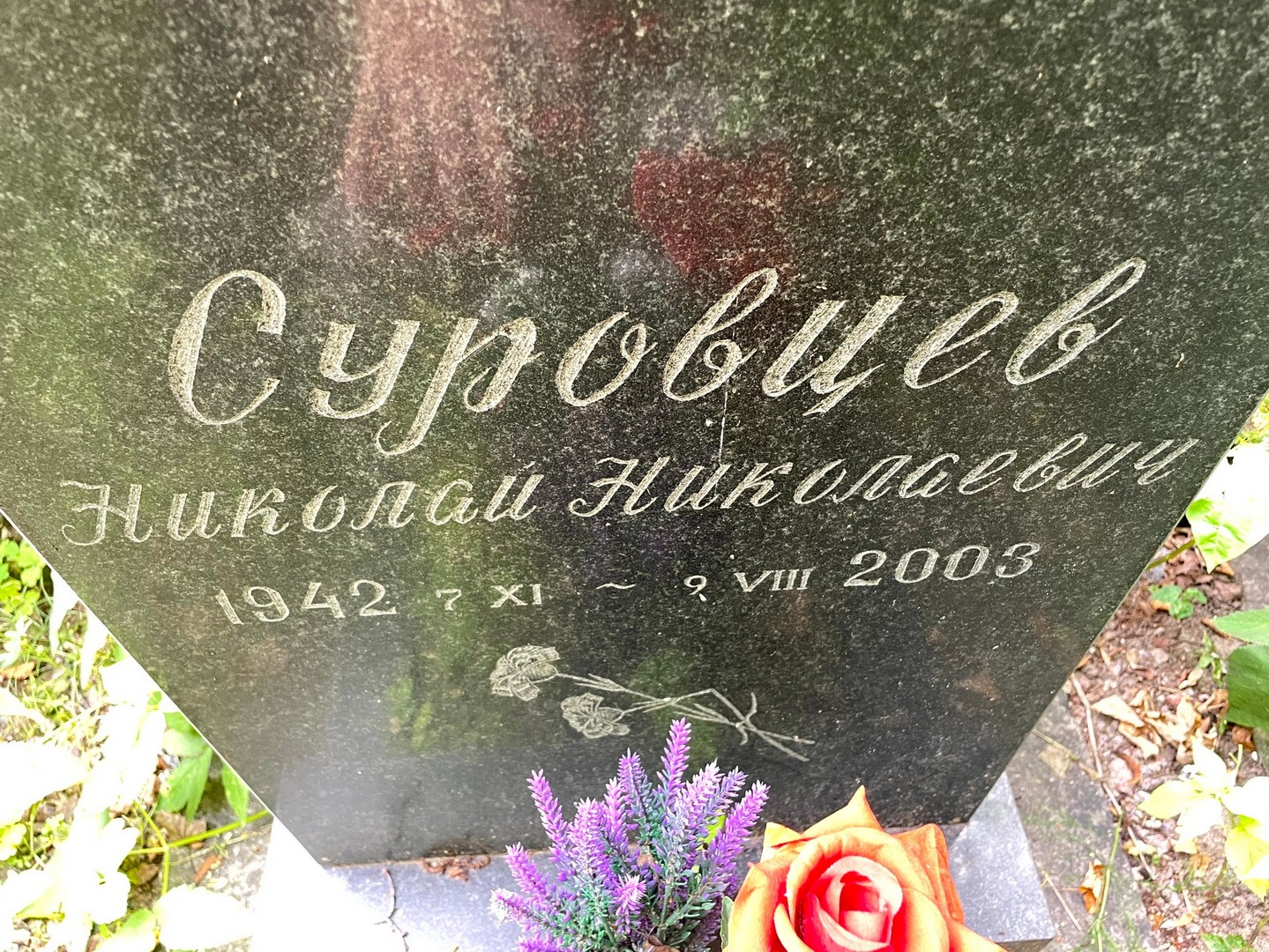 Суровцев