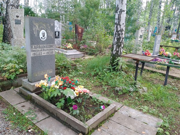 Карламедис Николай Маркович
