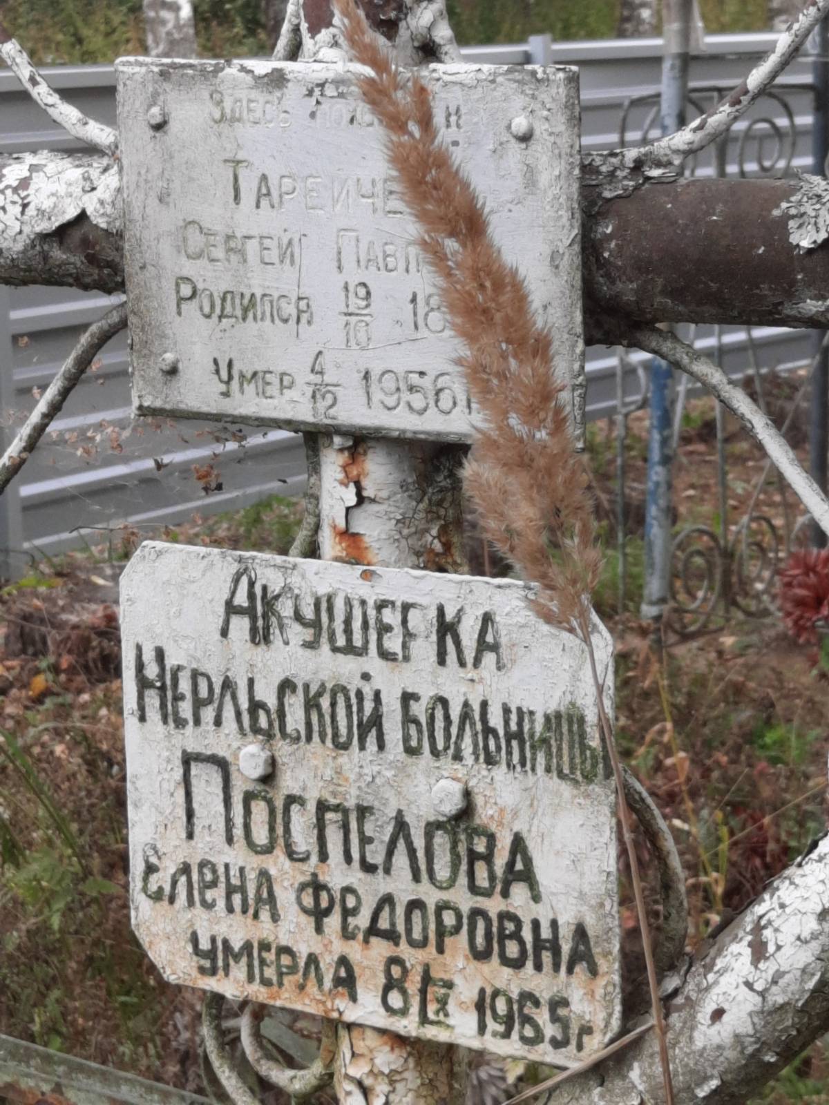 Поспелова Елена Федоровна