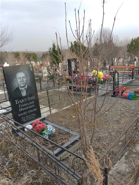 Бакулин Геннадий Иванович