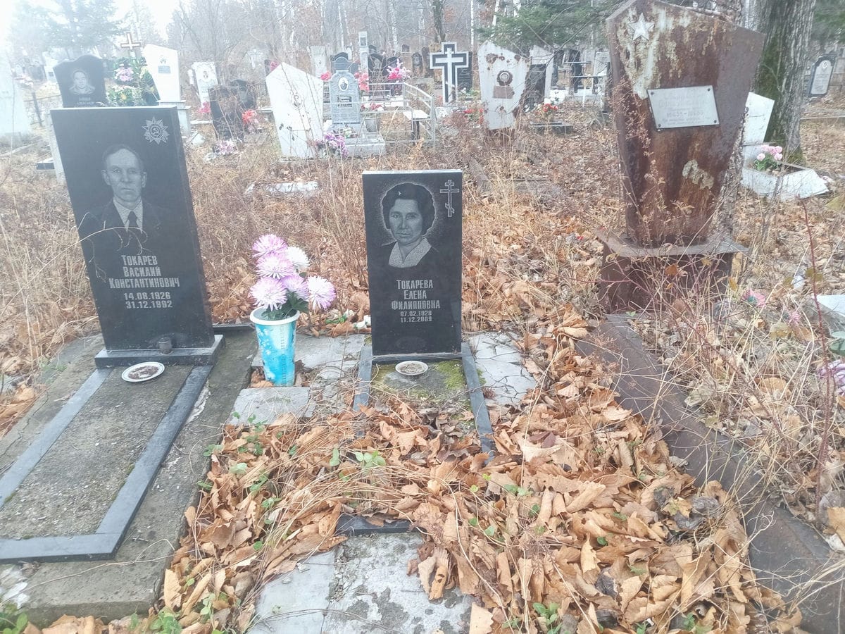 Токарева Елена Фиилпповна